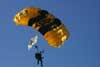 Army Sky Divers