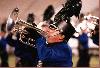 Blue Devils